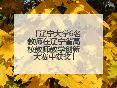 辽宁大学6名教师在辽宁省高校教师教学创新大赛中获奖