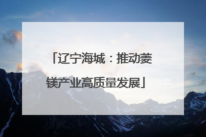 辽宁海城：推动菱镁产业高质量发展