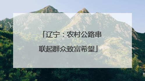 辽宁：农村公路串联起群众致富希望