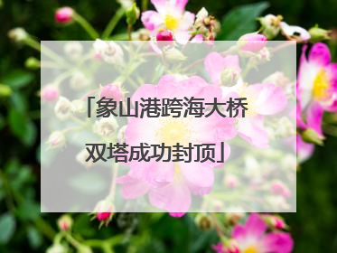 象山港跨海大桥双塔成功封顶