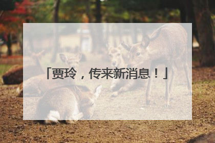 贾玲，传来新消息！