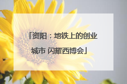 资阳：地铁上的创业城市 闪耀西博会