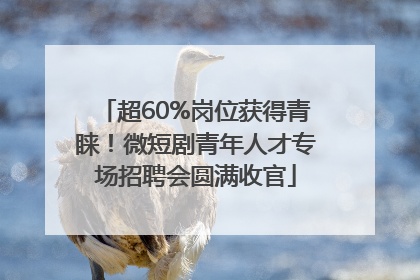 超60%岗位获得青睐！微短剧青年人才专场招聘会圆满收官