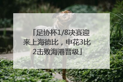 足协杯1/8决赛迎来上海德比，申花3比2击败海港晋级