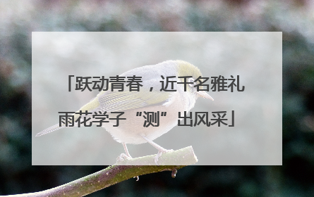 跃动青春，近千名雅礼雨花学子“测”出风采