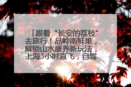跟着“长安的荔枝”去旅行！品岭南鲜果，解锁山水康养新玩法，上海3小时直飞，自驾高速费优惠