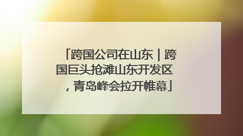 跨国公司在山东｜跨国巨头抢滩山东开发区，青岛峰会拉开帷幕
