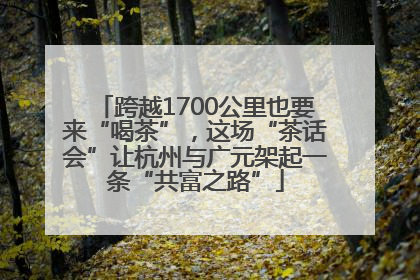 跨越1700公里也要来“喝茶”，这场“茶话会”让杭州与广元架起一条“共富之路”