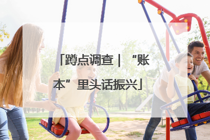 蹲点调查｜“账本”里头话振兴