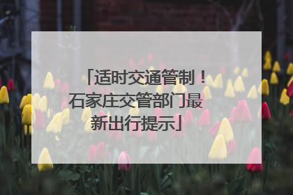 适时交通管制！石家庄交管部门最新出行提示