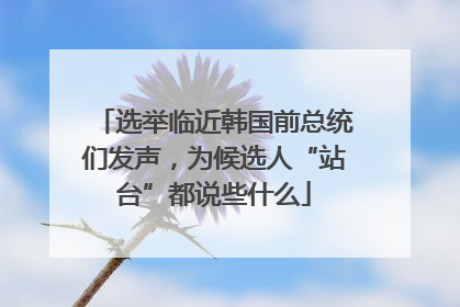 选举临近韩国前总统们发声，为候选人“站台”都说些什么