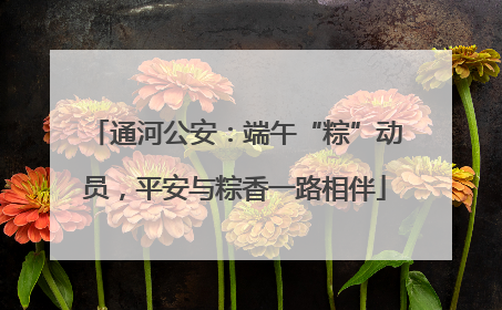 通河公安：端午“粽”动员，平安与粽香一路相伴