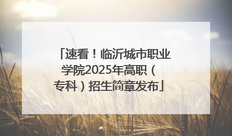 速看！临沂城市职业学院2025年高职（专科）招生简章发布