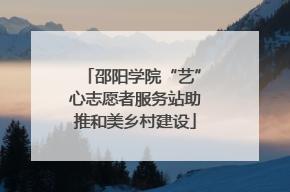 邵阳学院“艺”心志愿者服务站助推和美乡村建设