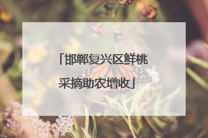 邯郸复兴区鲜桃采摘助农增收