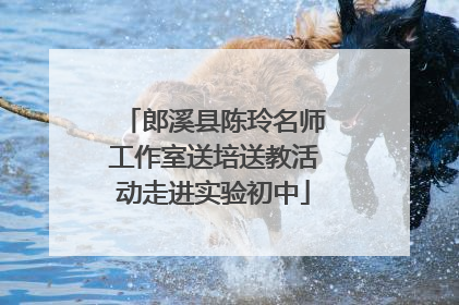 郎溪县陈玲名师工作室送培送教活动走进实验初中