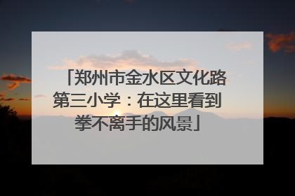 郑州市金水区文化路第三小学：在这里看到拳不离手的风景