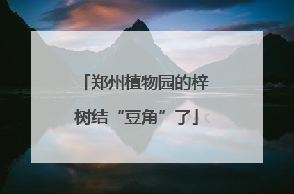 郑州植物园的梓树结“豆角”了