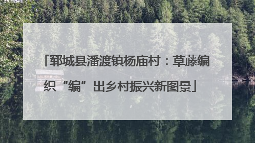 郓城县潘渡镇杨庙村：草藤编织“编”出乡村振兴新图景
