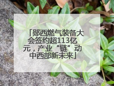 郧西燃气装备大会签约超113亿元，产业“链”动中西部新未来
