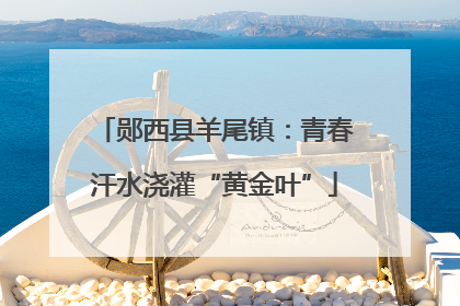 郧西县羊尾镇：青春汗水浇灌“黄金叶”