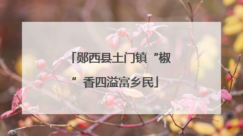 郧西县土门镇“椒”香四溢富乡民