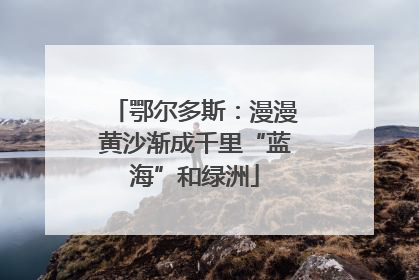 鄂尔多斯：漫漫黄沙渐成千里“蓝海”和绿洲