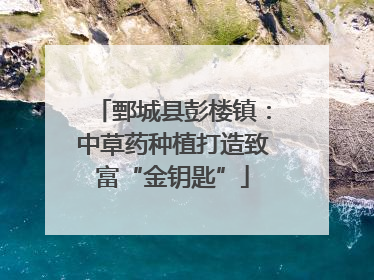 鄄城县彭楼镇：中草药种植打造致富“金钥匙”