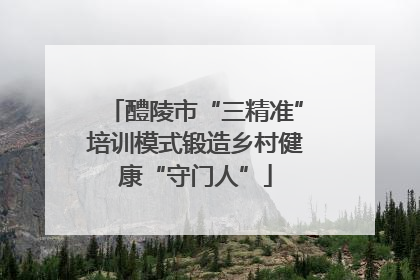 醴陵市“三精准”培训模式锻造乡村健康“守门人”