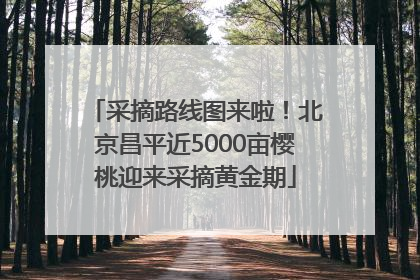 采摘路线图来啦！北京昌平近5000亩樱桃迎来采摘黄金期