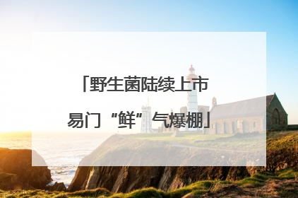野生菌陆续上市 易门“鲜”气爆棚