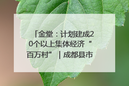 金堂：计划建成20个以上集体经济“百万村”｜成都县市新城高质量发展