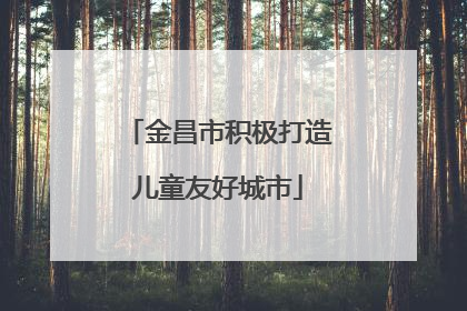 金昌市积极打造儿童友好城市