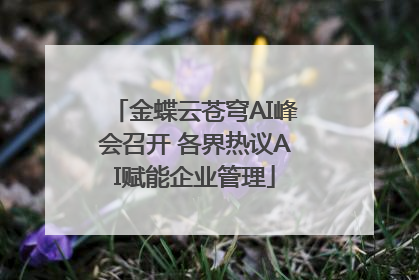 金蝶云苍穹AI峰会召开 各界热议AI赋能企业管理