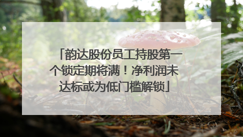 韵达股份员工持股第一个锁定期将满！净利润未达标或为低门槛解锁