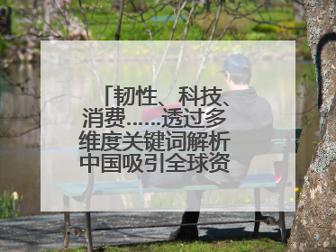 韧性、科技、消费……透过多维度关键词解析中国吸引全球资本“新磁场”