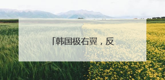 韩国极右翼，反华闹剧该收场了