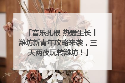 音乐扎根 热爱生长丨潍坊新青年攻略来袭，三天两夜玩转潍坊！