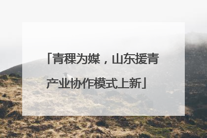 青稞为媒，山东援青产业协作模式上新