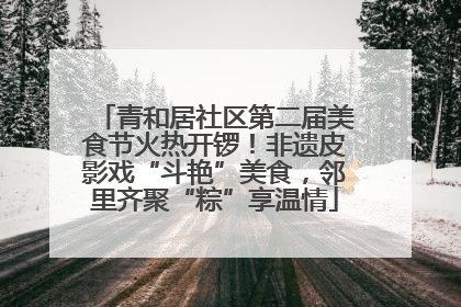 青和居社区第二届美食节火热开锣！非遗皮影戏“斗艳”美食，邻里齐聚“粽”享温情