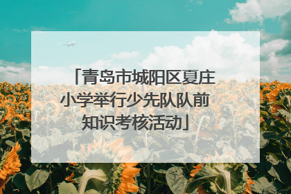 青岛市城阳区夏庄小学举行少先队队前知识考核活动