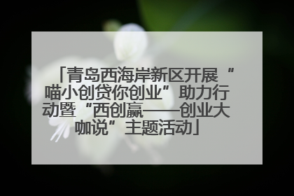 青岛西海岸新区开展“喵小创贷你创业”助力行动暨“西创赢——创业大咖说”主题活动