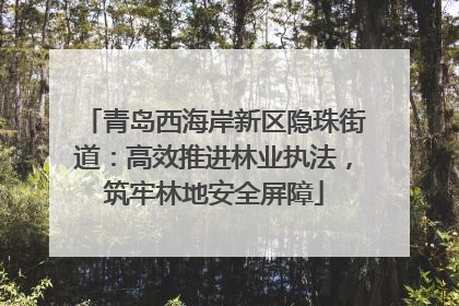 青岛西海岸新区隐珠街道：高效推进林业执法，筑牢林地安全屏障