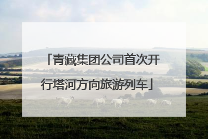 青藏集团公司首次开行塔河方向旅游列车