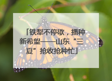 铁犁不停歇，播种新希望——山东“三夏”抢收抢种忙