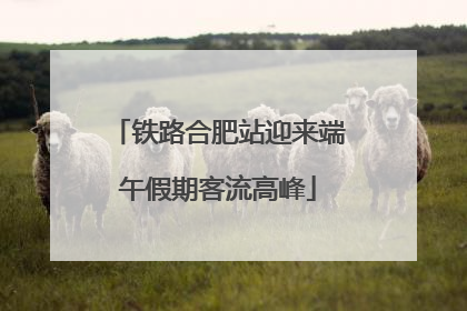 铁路合肥站迎来端午假期客流高峰