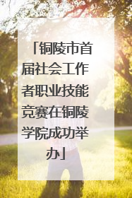 铜陵市首届社会工作者职业技能竞赛在铜陵学院成功举办