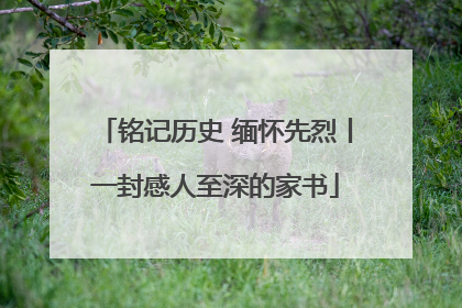 铭记历史 缅怀先烈丨一封感人至深的家书