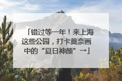 错过等一年！来上海这些公园，打卡莫奈画中的“夏日神颜”→