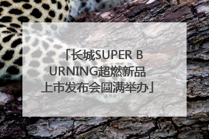 长城SUPER BURNING超燃新品上市发布会圆满举办